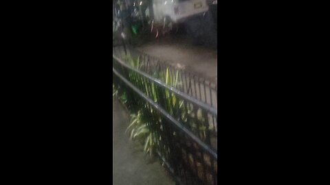 The NY Predators Dept officers attacking with noise, using their sirens with illegal surveillance.