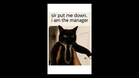 “When Life Gives You Funny Mood | Ultimate Meme Shorts” #FunnyMemes #MemeShorts #ViralVideo