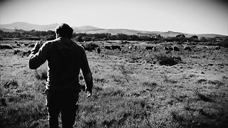 Farmer Angus on why regenerative farming is an agricultural solution
