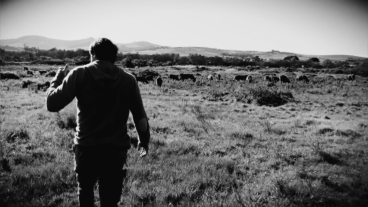 Farmer Angus on why regenerative farming is an agricultural solution
