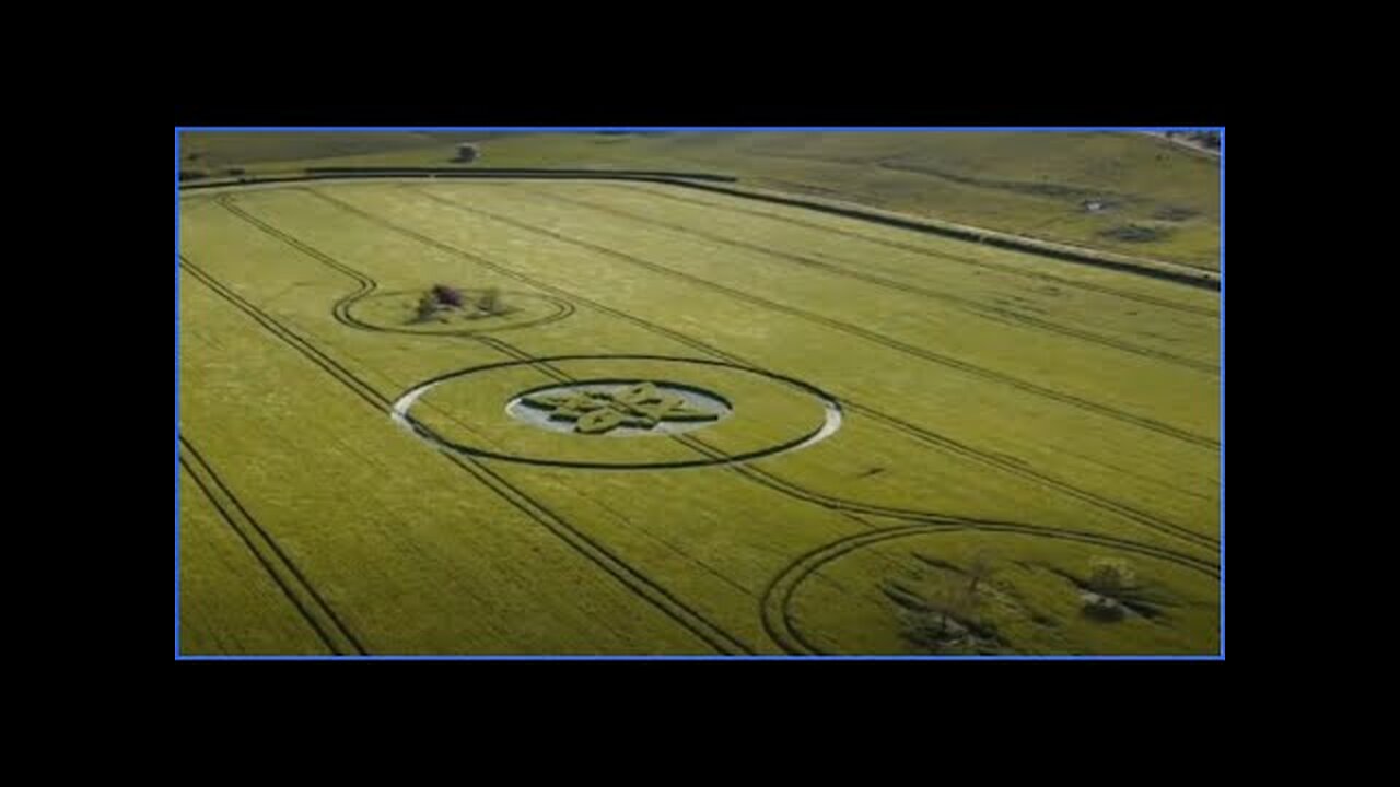 ALERT! 2 TREES TIED TOGETHER In Crop CIRCLES With ORBS EVERYWHERE?? This CONFIRMED 100% Jonathan Kleck