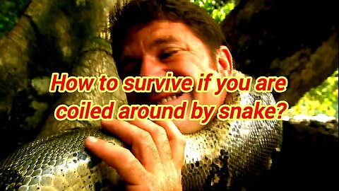 How To Survive If You Are Coiled Around By A Snake