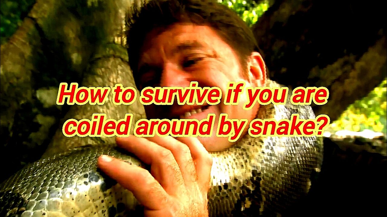 How To Survive If You Are Coiled Around By A Snake