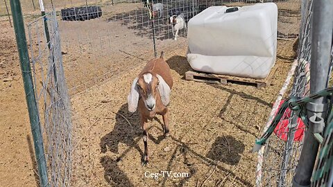 Graham Family Farm NW: 10:30 AM August 18 2025