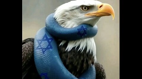 THE HIDDEN EMPIRE : THE 3 COMPANIES THAT OWN THE WORLD