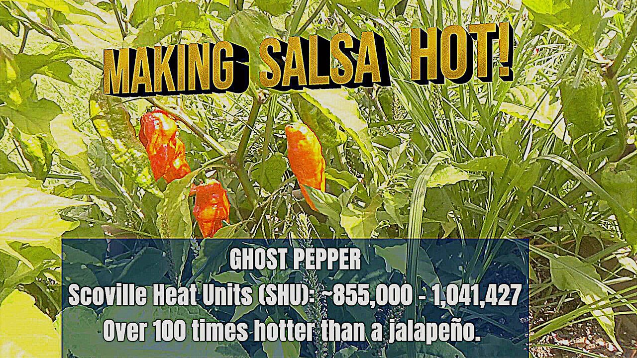 MAKING SALSA HOT WITH GHOST PEPPERS