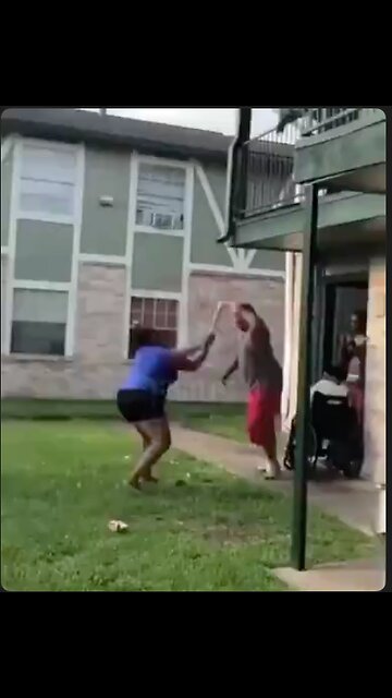 These two love birds live in a tight knit community that watches out for them.💥😳😆😆👮🚔