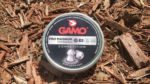 First Impressions: GAMO Pro Magnum - NEW .177 Caliber Pellet Review!