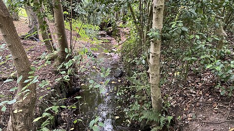Howden Burn loop