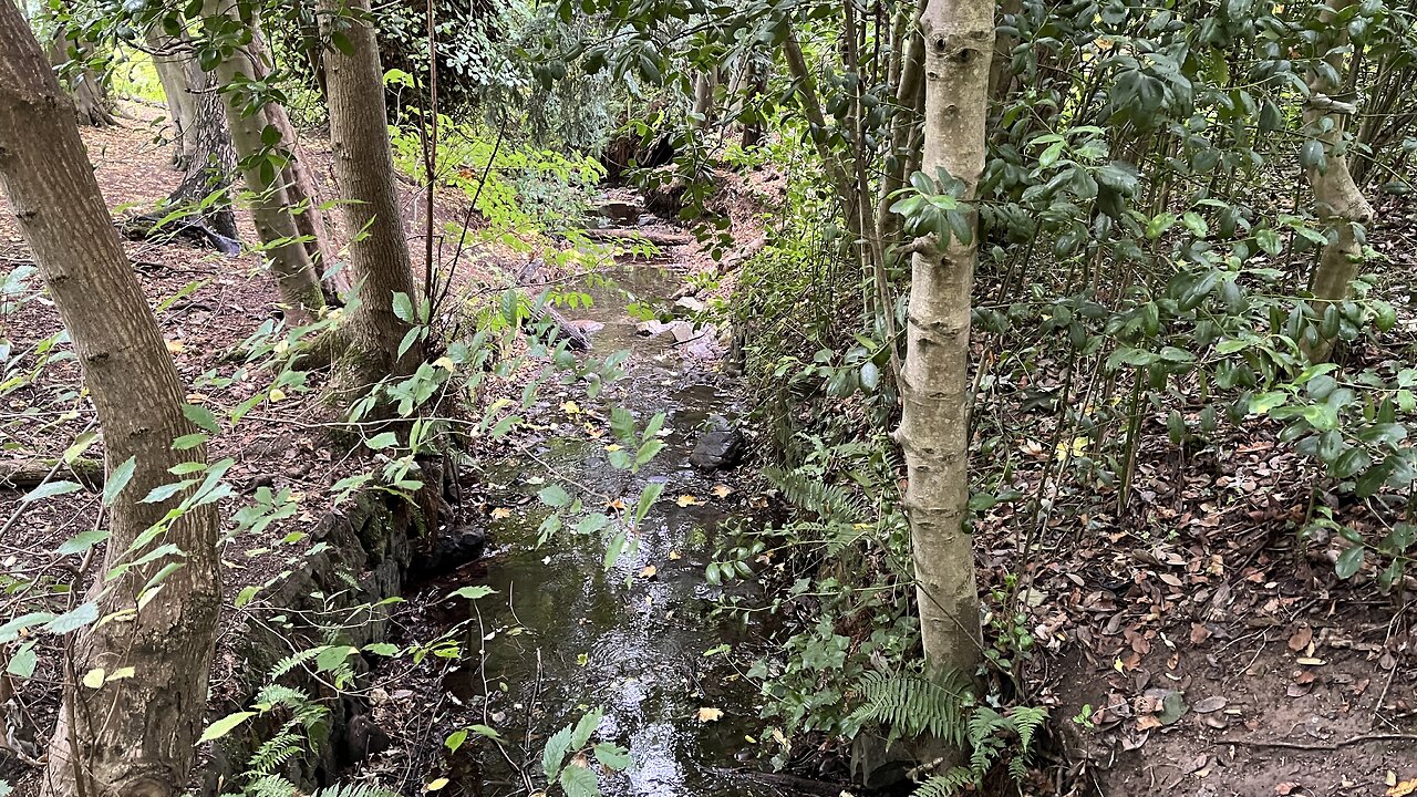 Howden Burn loop