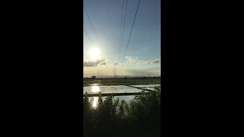 Agriculture with beautiful nature