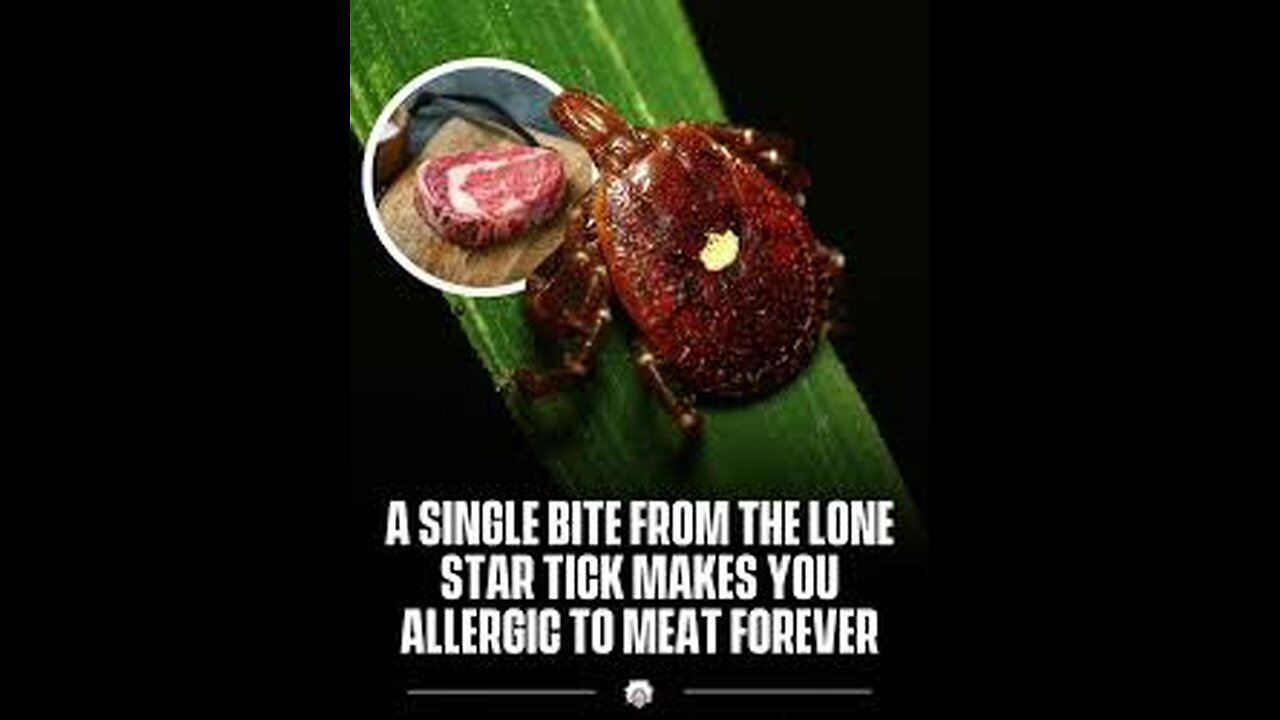 When a Tick Turns Meat Into Poison