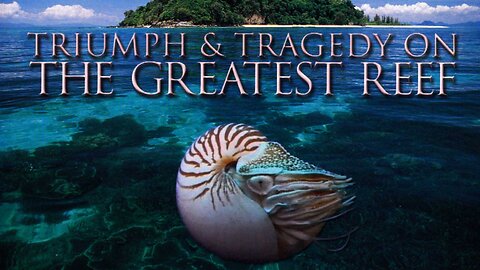 Triumph & Tragedy on the Greatest Reef