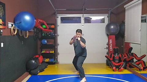 WTD 2 Step Kick Combination 134