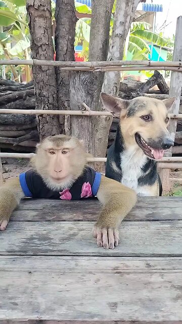 Best SokYaa, OG, Pao & Mom Are Famous Around The World #shorts #anime #trend #edit