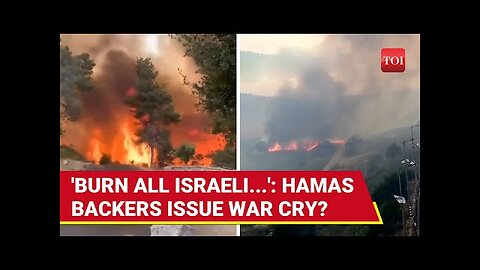 Israel battles worst wildfires in country's history -