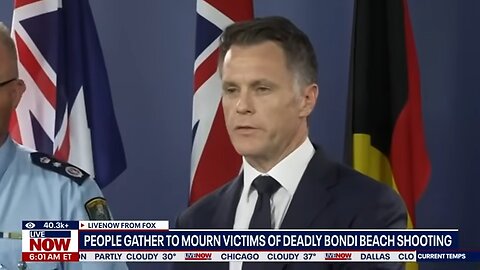 Bondi shooting: Surviving suspect charged, 15 counts of murder & terrorism charges