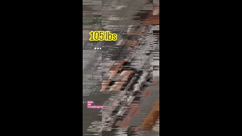 105lbs Preacher Curls (Medium) | #fitness #biceps #shorts 💪