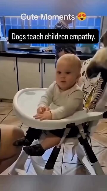 dog's teach children empathy