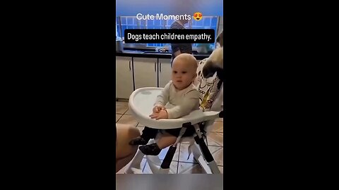 dog's teach children empathy