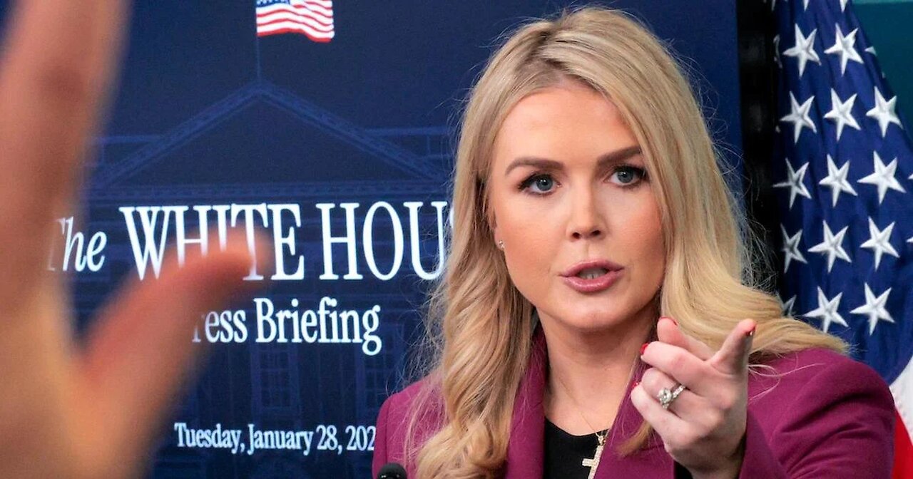 Karoline Leavitt: This has gotten totally out of control
