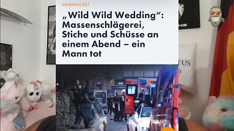 UNFASSBAR! ARD zerstört Weidel-Sommerinterview mit ANTIFA! 💥⚡️dunkelstes DDR-Fernsehen!
