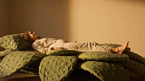 Would YOU Sleep In A Bed Made Of Cactus