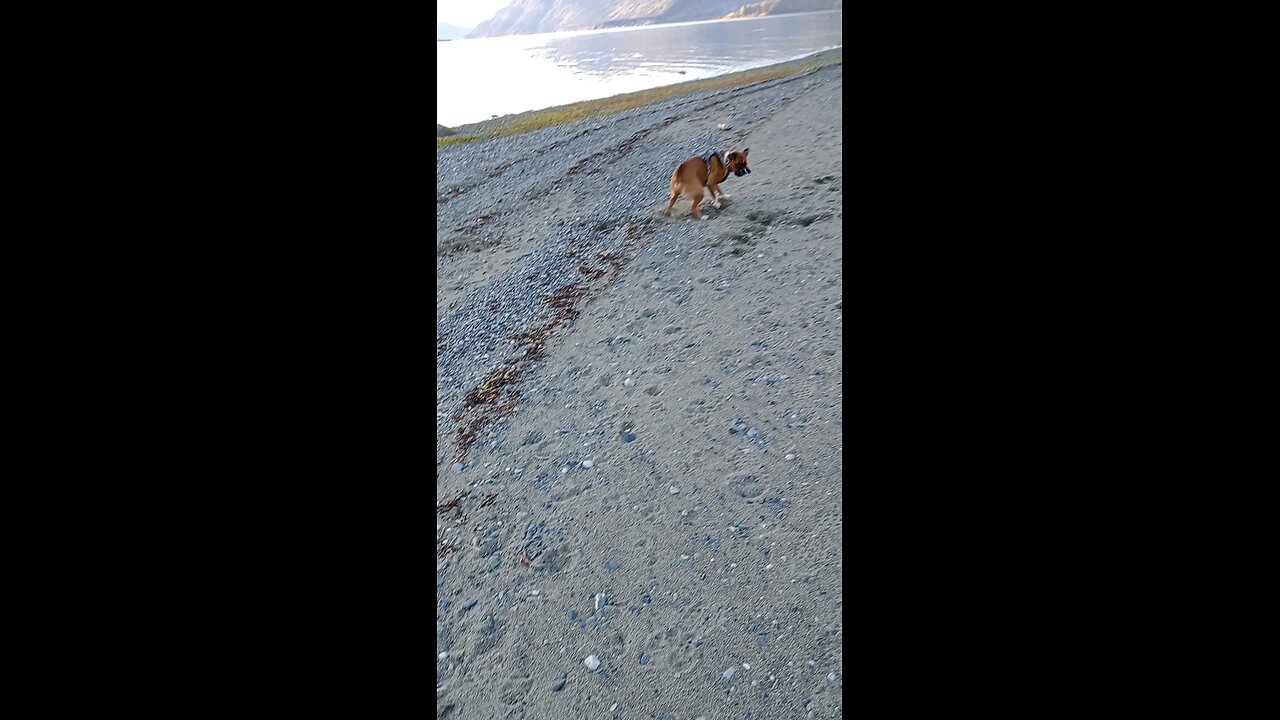 play time in the Alaskan Spring