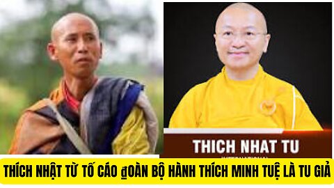 Cư Sỉ Phước Nghiêm Nói Thích Nhật Từ Tố Cáo ₫oàn Bộ Hành Thích Minh Tuệ Là Tu Giả