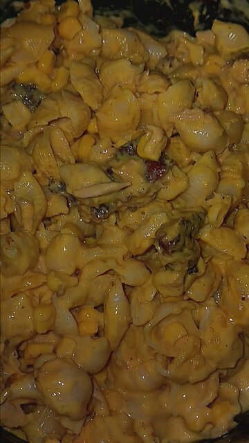 WHAT I ATE TODAY • MACARONI, TUNA, CORN, AND HAMBURGER MEAT