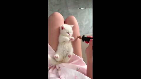 So Cute...!🥰🥰