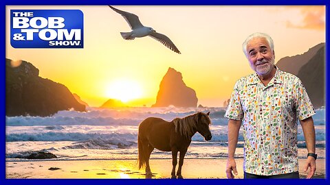 Drunk Ponies, Pooing Sea Birds & Pat