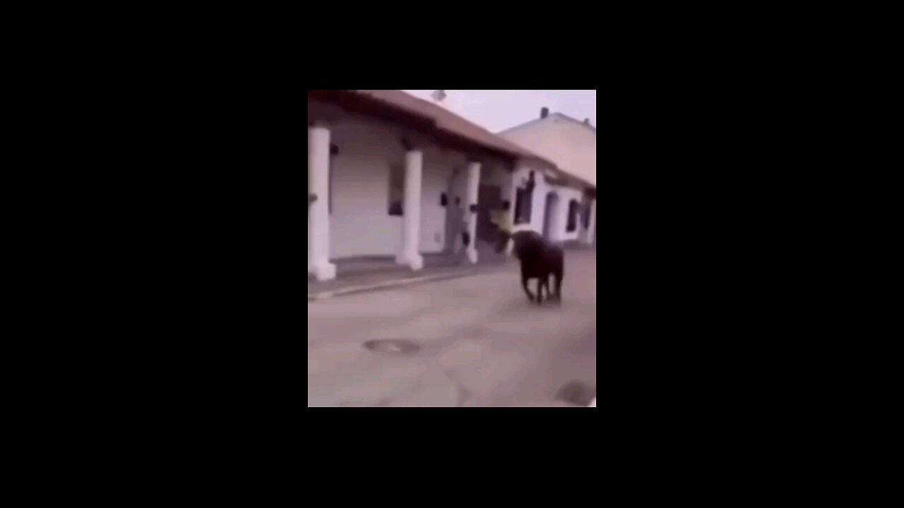Bau