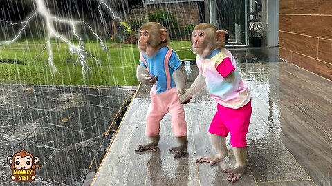 What do YiYi and YinYin do when it's stormy