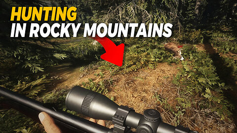 Hunting Mule Deer and an Elk in Rocky Mountains | theHunter: Call of the Wild