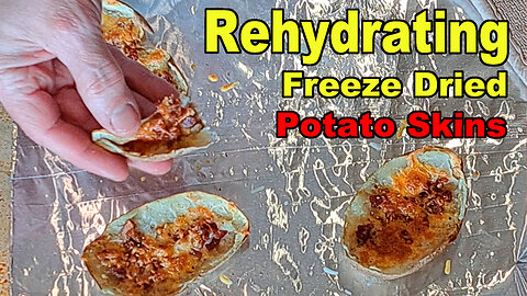 Freeze Dried Potato Skins - Rehydration Test
