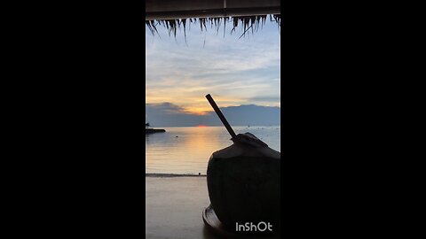 enjoy guava