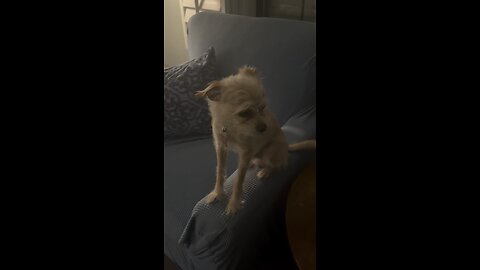 Friday Night Hangout with Clemson