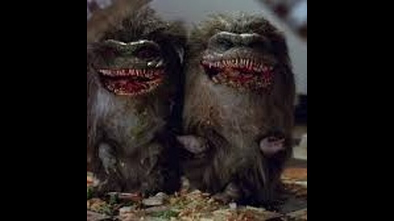 CRITTERS love Burgers O,,O ?!