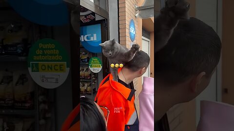 Animals Funny Compilation #funnyanimals #animals #pets #shorts