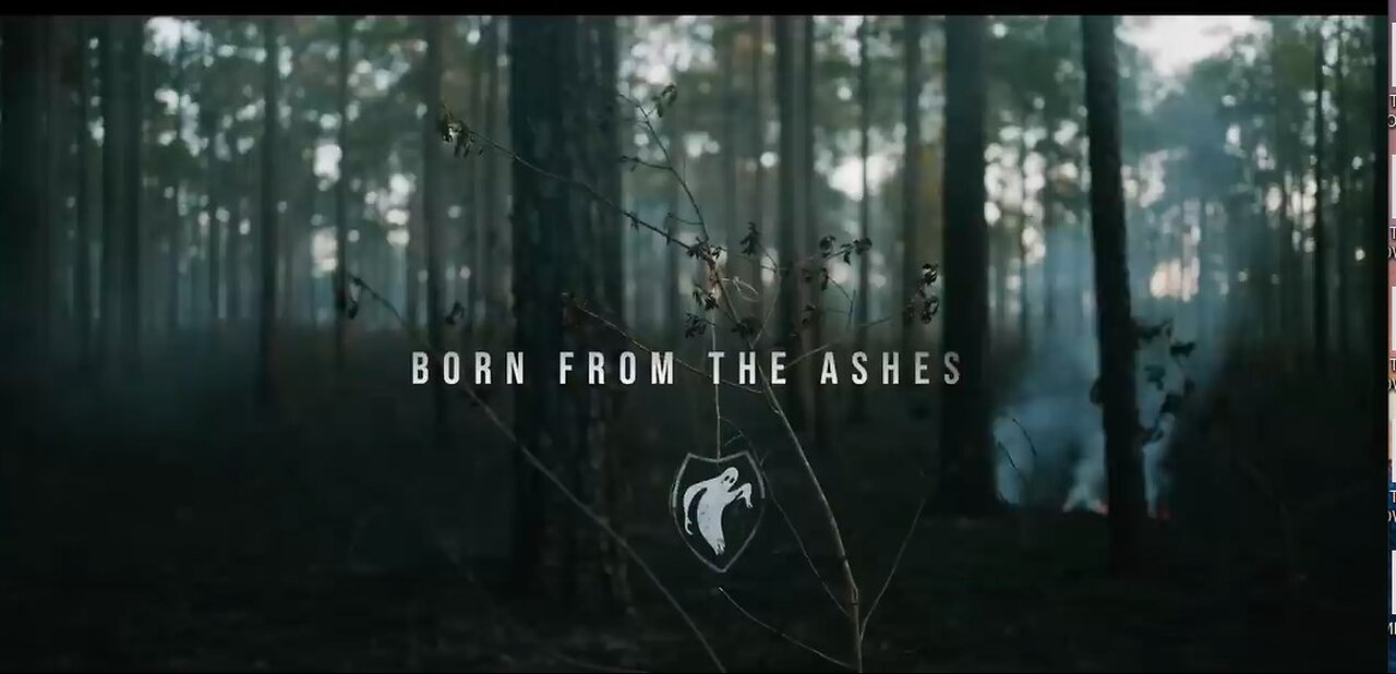 Ghosts In The Machine 2