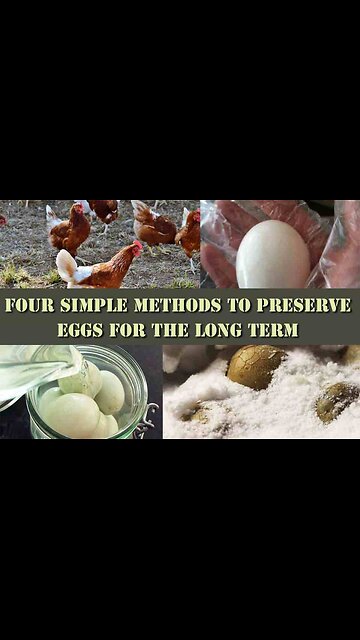 HOW THE AMISH PRESERVE EGGS 🥚 FOR A LONG PERIOD OF TIME