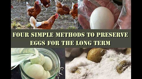 HOW THE AMISH PRESERVE EGGS 🥚 FOR A LONG PERIOD OF TIME