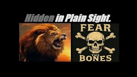 FEAR THE BONES! THE SYSTEM IS CANNIBALIZING ITSELF. (EXPECT MASSIVE BAILOUTS). Mannarino