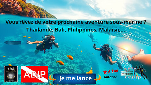 Vous rêvez de votre prochaine aventure sous-marine ? Thaïlande, Bali, Philippines, Malaisie