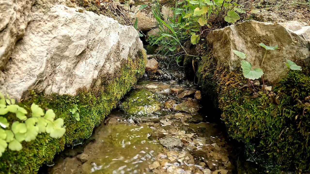 Serenity in Nature | 4K Relaxing Nature Sounds for Stress Relief & Sleep