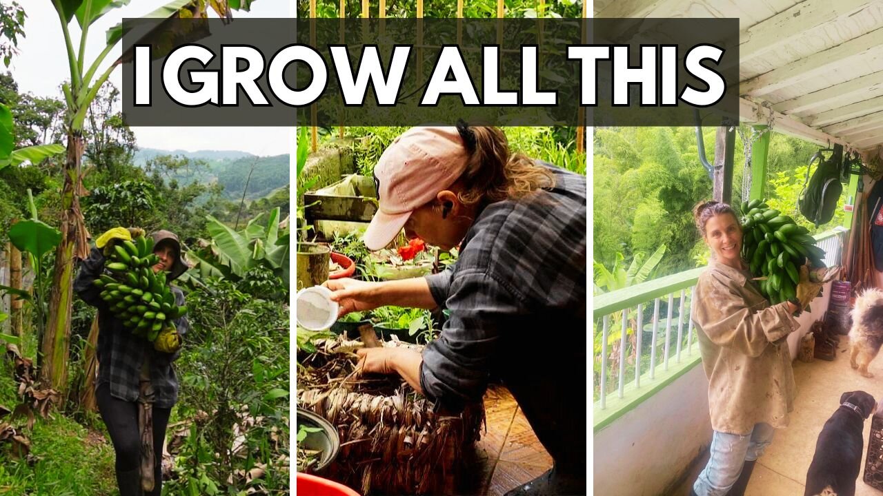 15 Foods I Grow on My Colombian Farm (And Never Buy Anymore!)