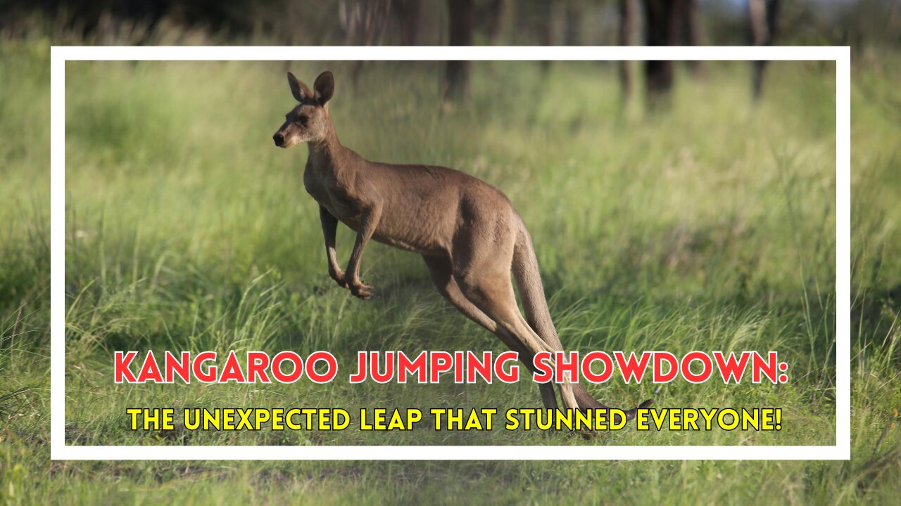 Kangaroo Jumping Showdown: The Unexpected Leap That Stunned Everyone!