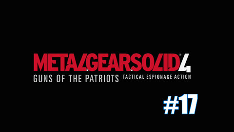 Vuvu Plays "METAL GEAR SOLID 4: GUNS OF THE PATRIOTS" Part 17