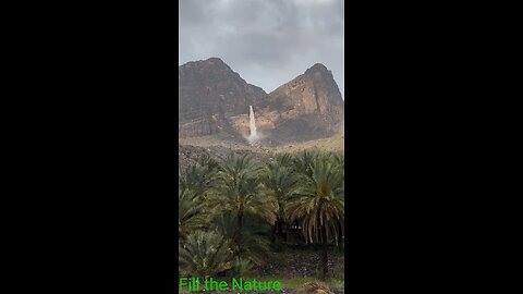 feel the Nature #nature #world